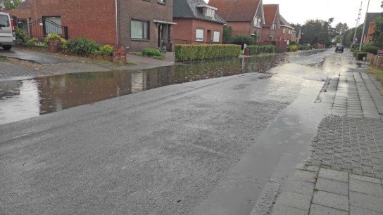 (vergroot foto)